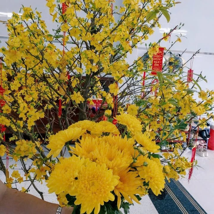 Đất nền Hẻm P7 Bạc Liêu 100m² giá 600 triệu - Sổ đỏ chính chủ, ô tô vào tận nơi!