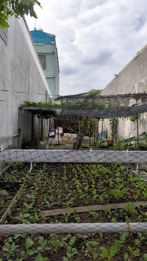 Đất nền Bàu Vàng Đà Nẵng 100m² giá chỉ 4 tỷ - Cơ hội đầu tư hiếm có!