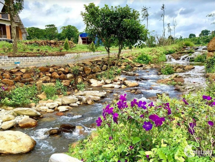 Farm nghỉ dưỡng tại Nghĩa Hành, Quảng Ngãi 650m² chỉ 200 triệu - Cơ hội đầu tư tuyệt vời!