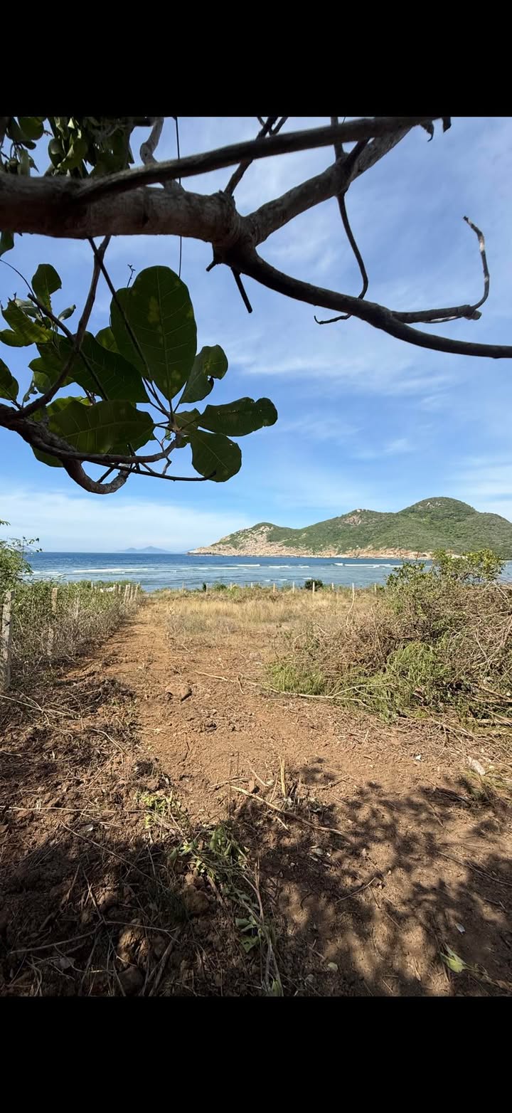 Đất Nền Biển Ninh Vân 9608m² giá 26 tỷ - Pháp lý rõ ràng, gần khu du lịch!