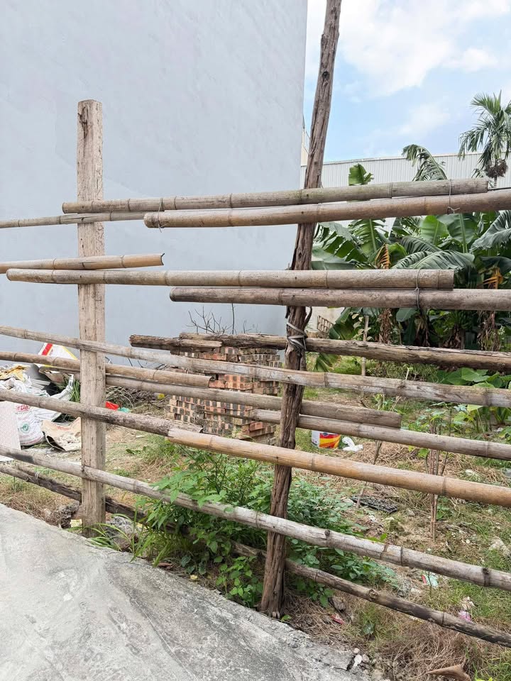 Đất chính chủ Nguyễn Gia Bồ, Ngọc Thụy 50m² giá 11.3 tỷ - Đầu tư sinh lời ngay!