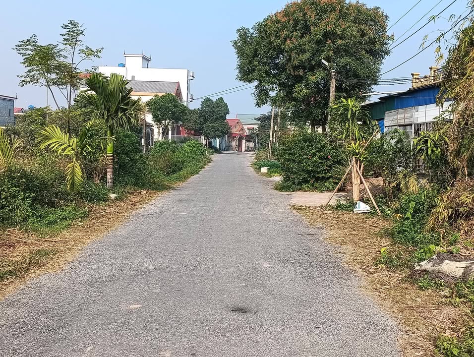 Nhà bán Đãn Chàng, Hưng Hà, 75m² - Đầu tư sinh lời lâu dài!