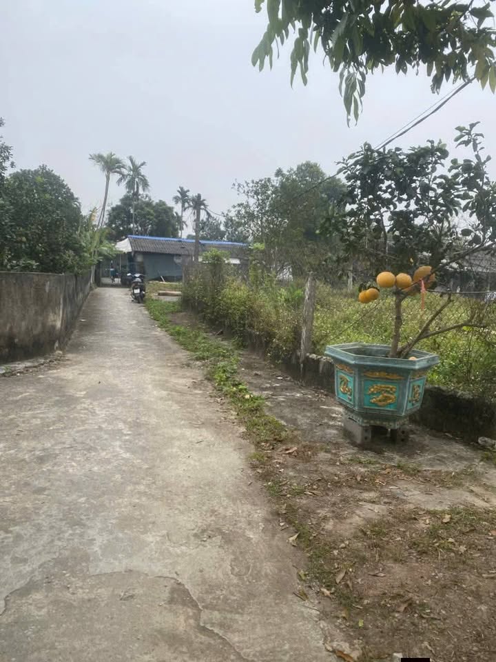 Đất thổ cư tại thôn 1, An Ninh, Bình Lục 101m² - Đường ô tô vào tận nơi!