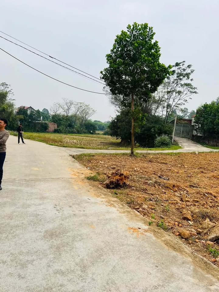 Đất thổ cư 421m² tại Phố Yên, Thái Nguyên - Giá chỉ 1 tỷ, đầu tư sinh lời!