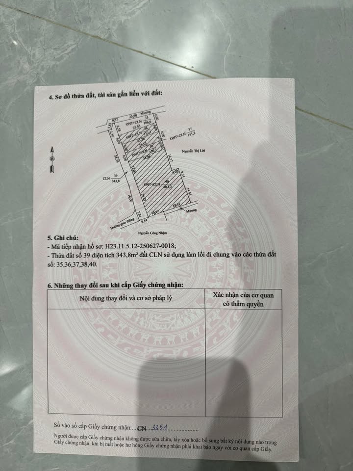 Đất nền Xã An Thanh, Huyện Tứ Kỳ 186m² - Cơ hội đầu tư tuyệt vời!
