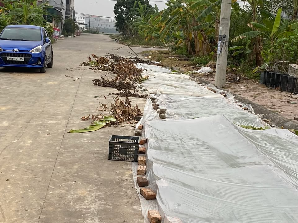 Đất nền Cam Xá, Cổ Bì 100m² giá 1.7 tỷ - Cơ hội đầu tư hiếm có!