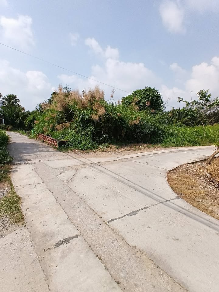 Đất thổ cư xã Hưng Long, Bình Chánh 95m² giá 2.3 tỷ - Sổ hồng chính chủ