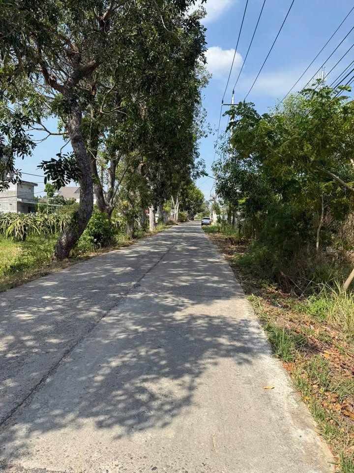 Đất thổ cư 130m² đường Trại Giam Phong Nẩm - Giá chỉ 1.2 tỷ, bớt lộc!