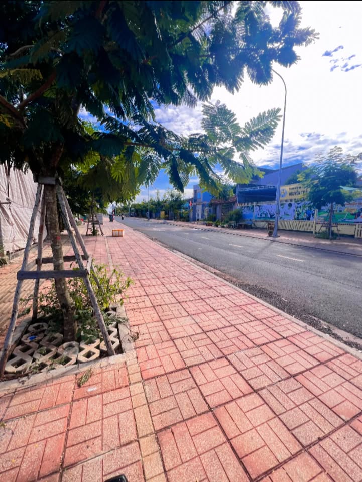 Bán đất Phạm Lạc, Đồng Nai 240m² chỉ 750 triệu - Vị trí đắc địa ngay trung tâm Long Khánh!