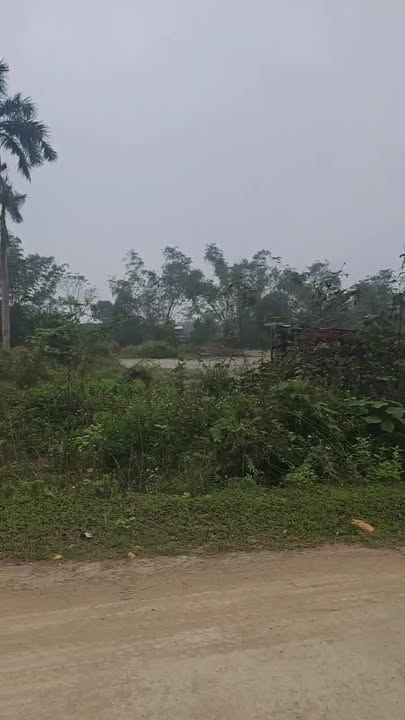 FrontHouse Trần Phúc Hoàn, Huyện Hương Khê, 7750m² - Vị trí đắc địa, 2 mặt tiền!