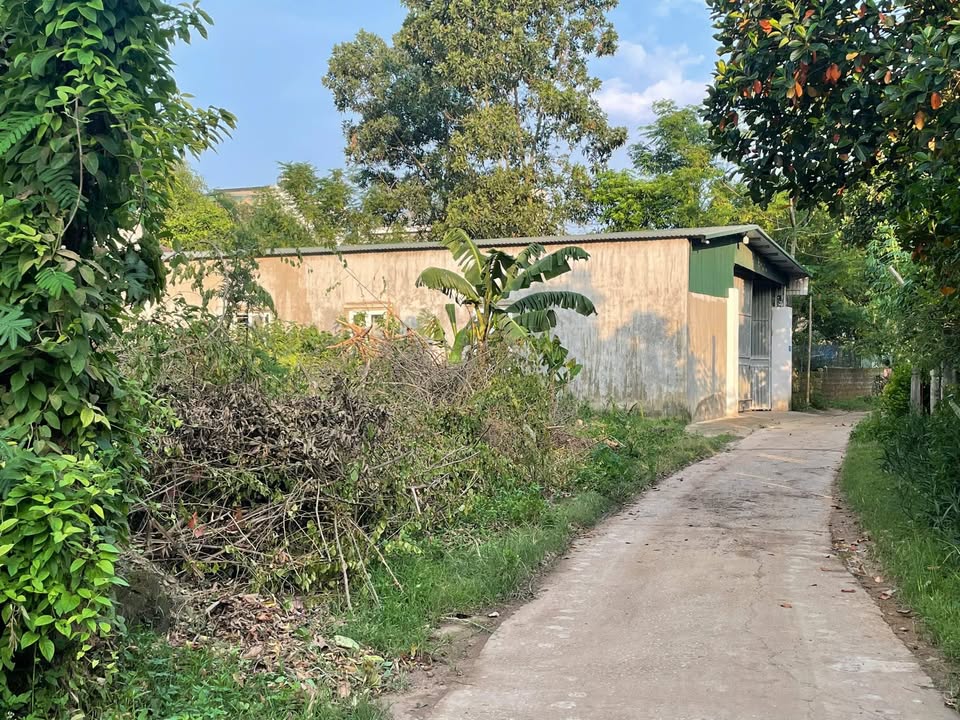 Đất Phố Bà Triệu, Triệu Sơn 200m² - Đường rộng thông, gần cty may!