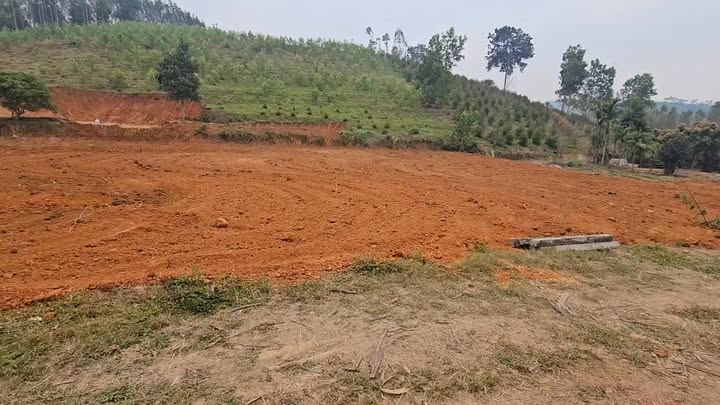 Lô đất vườn 1500m² tại Bắc Ninh chỉ 600 triệu - Đầu tư sinh lời ngay!