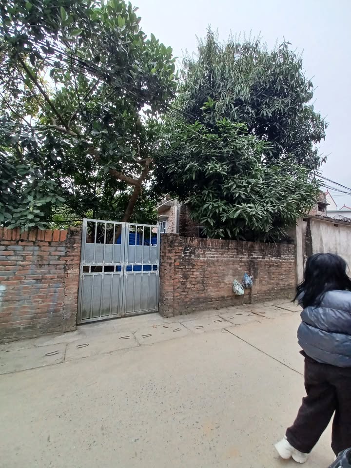 Đất thổ cư 96m² tại Đội Chằm, Quốc Oai - Giá chỉ từ 4x triệu/m²!