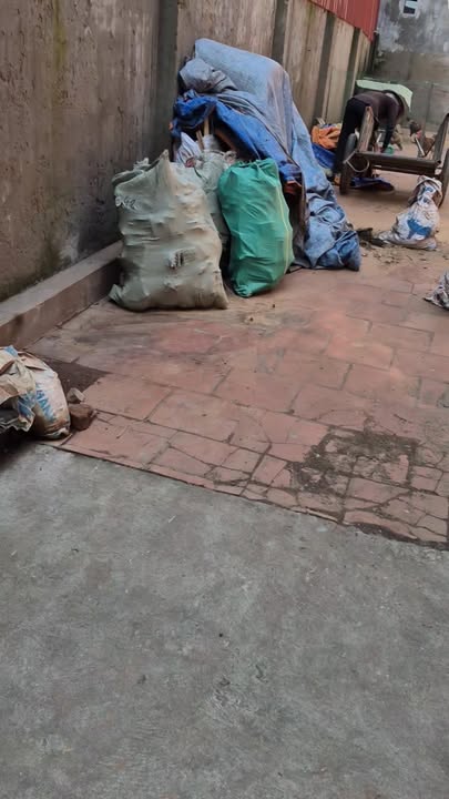 Đất nền Mai Động, Từ Sơn 72.2m² - Mặt tiền đẹp, ô tô vào tận nơi!