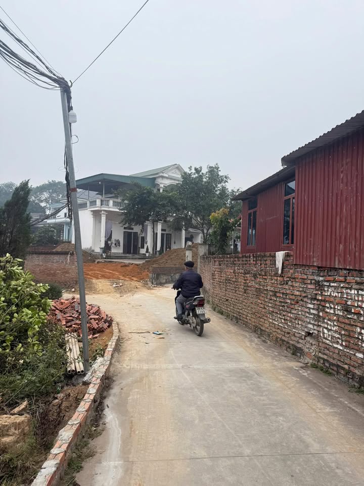 Đất nền Phú Thịnh, Việt Trì 186m² - Cơ hội đầu tư vàng không thể bỏ qua!