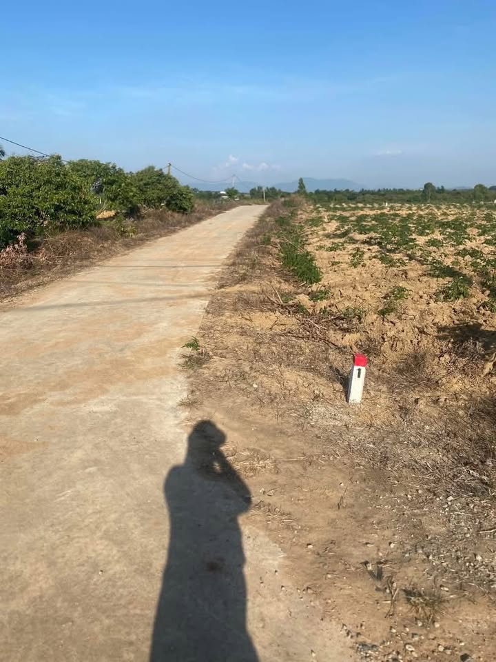 Đất nền Cư Ni, Ea Kar 600m² giá 150 triệu - Đầu tư sinh lời tiềm năng!