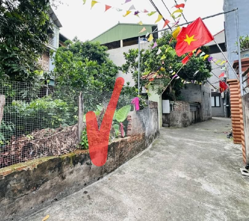 Đất nền thôn Vàng, Cổ Bi, 36.5m² giá 3.6 tỷ - Sổ đỏ chính chủ, giao dịch ngay!