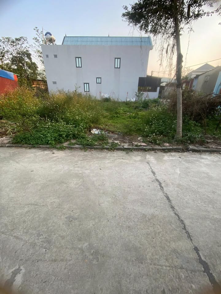 Đất nền Lương Phong, Hiệp Hòa 95m² giá từ 100 triệu - Cơ hội đầu tư sinh lời cao!