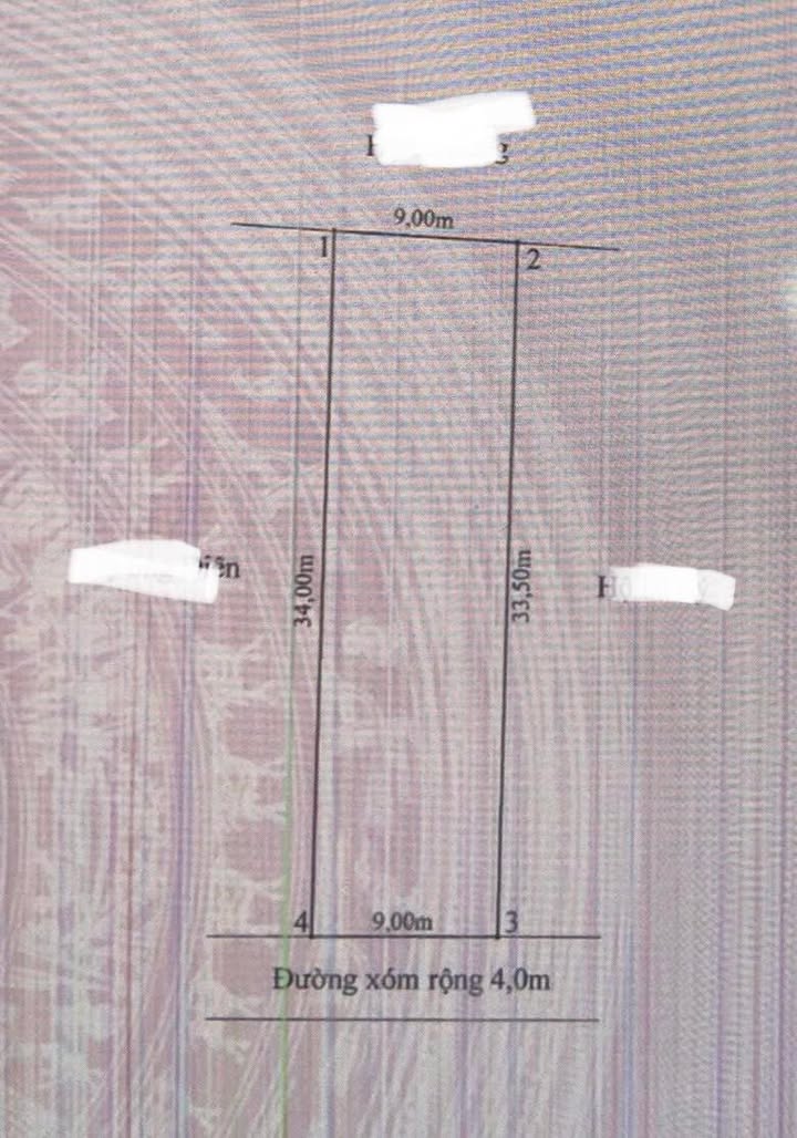 Đất nền 303m² tại Trại Gừng, Hải Dương - Cơ hội đầu tư không thể bỏ lỡ!