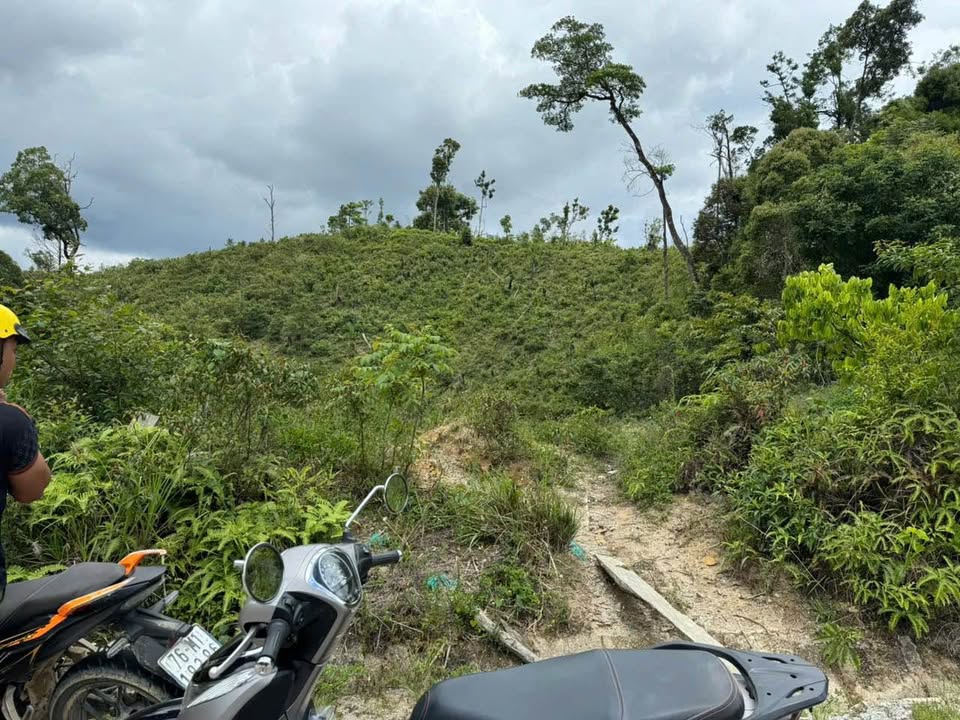 Đất rẫy 1.2ha tại thôn Đăk Tăng, xã Măng Đen - Giá chỉ từ 1xx triệu!