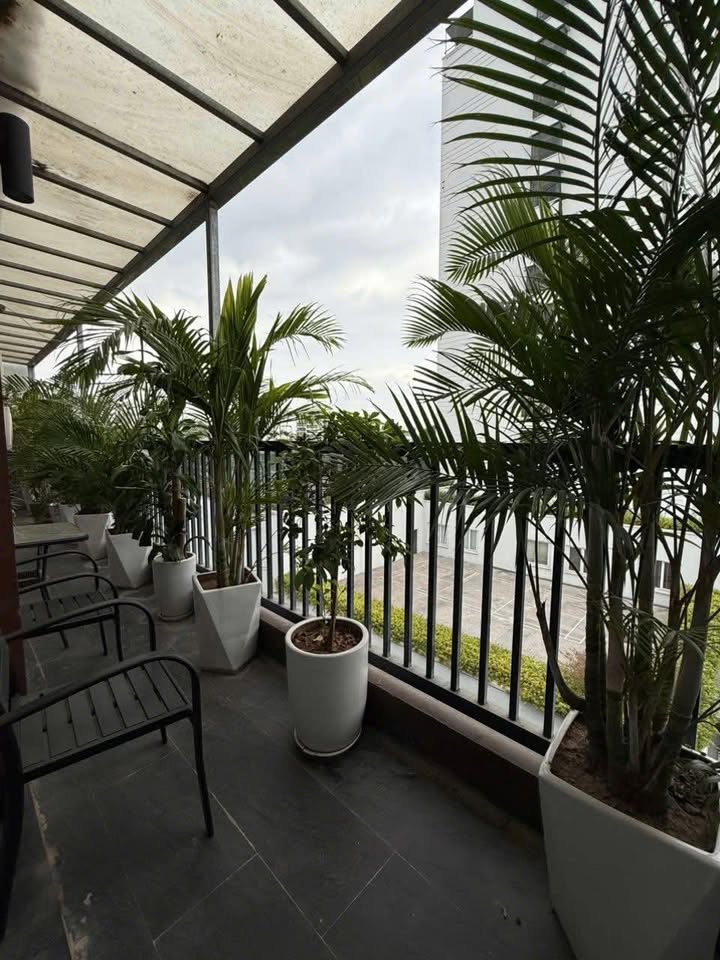 Căn hộ cao cấp Từ Hoa, Tây Hồ 180m² giá 100 tỷ - Đầu tư sinh lời ổn định!