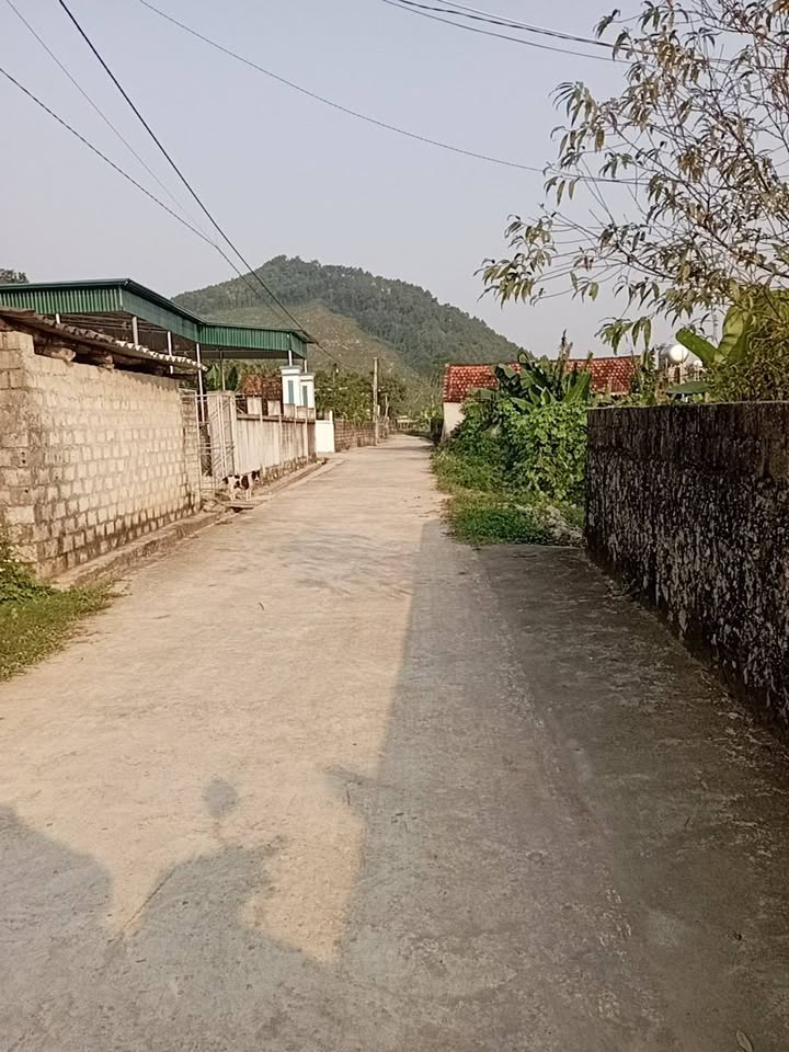 Đất thổ cư 1120m² tại Thành Phố Vinh - Giá chỉ 2 tỷ, tách được 4 lô!