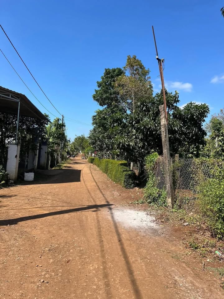 Đất thổ cư thôn 7, Xã Cam An Nam 60m² giá 700 triệu - Pháp lý rõ ràng, đầu tư sinh lời!