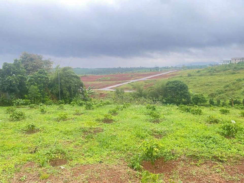 Đất thổ cư 1185m² tại Thôn 5 Lộc Quảng - Nằm cạnh Sun Velly Farm chỉ 8 tỷ!