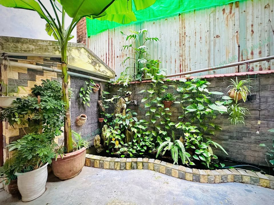 Cho thuê studio sân vườn Trần Văn Dư, Quận Ngũ Hành Sơn giá chỉ 6 triệu