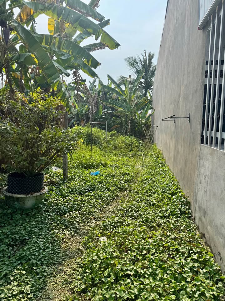 Đất nền 96m² tại Quốc lộ 91, Phường Bình Đức - Cơ hội đầu tư sinh lời!