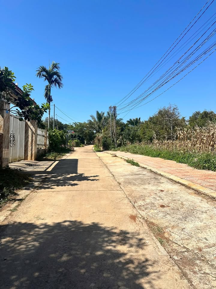 Đất nền Thị trấn Phước An 200m² giá 1.65 tỷ - Địa thế cao ráo, view đẹp!