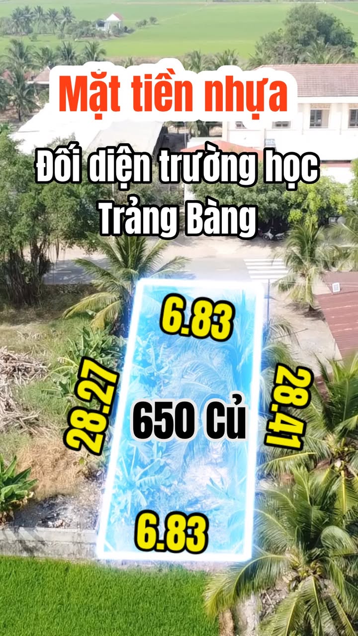 Đất nền mặt tiền nhựa 786, Xã Phước Chỉ 196m² giá 650 triệu - Cơ hội đầu tư tuyệt vời!