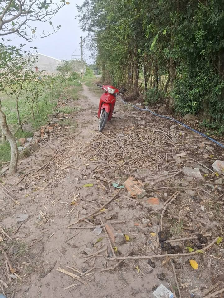 Đất nền Kp Lộc Trát, Phường Gia Lộc, 504m² giá 420 triệu - Đầu tư sinh lời tốt!