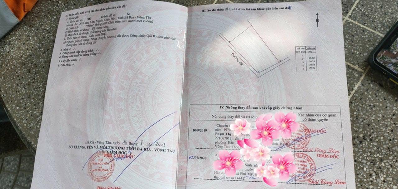 Đất nền xã Láng Lớn, huyện Châu Đức, 10.000m² giá 1.6 tỷ - Đầu tư sinh lời cao!