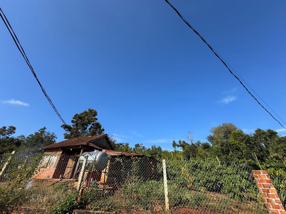 Đất Farm 23.360m² tại Xuân Lộc, Sông Cầu - Giá 2.45 tỷ, Sẵn sàng chăn nuôi!