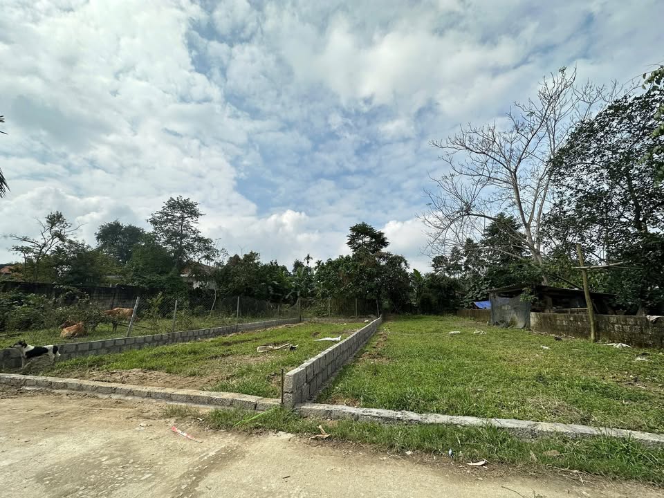 Đất mặt tiền kiệt Trần Đăng Ninh, Cư Chánh 119m² giá 1.55 tỷ - Đầu tư sinh lời cao!