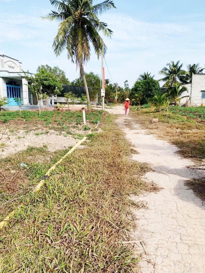 Đất nền Châu Thành Tây Ninh 1034m² giá chỉ 3x triệu/m² - Đầu tư sinh lời ngay!