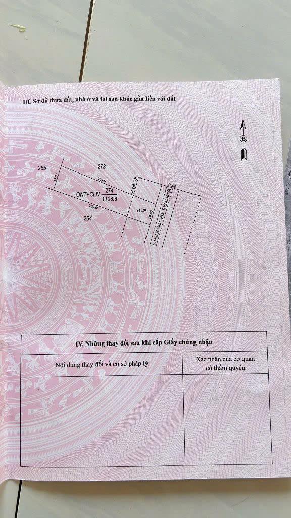 Đất mặt tiền nhựa Phước Vinh, Thạnh Tây 1008m² giá 1.03 tỷ - Cơ hội đầu tư tuyệt vời!