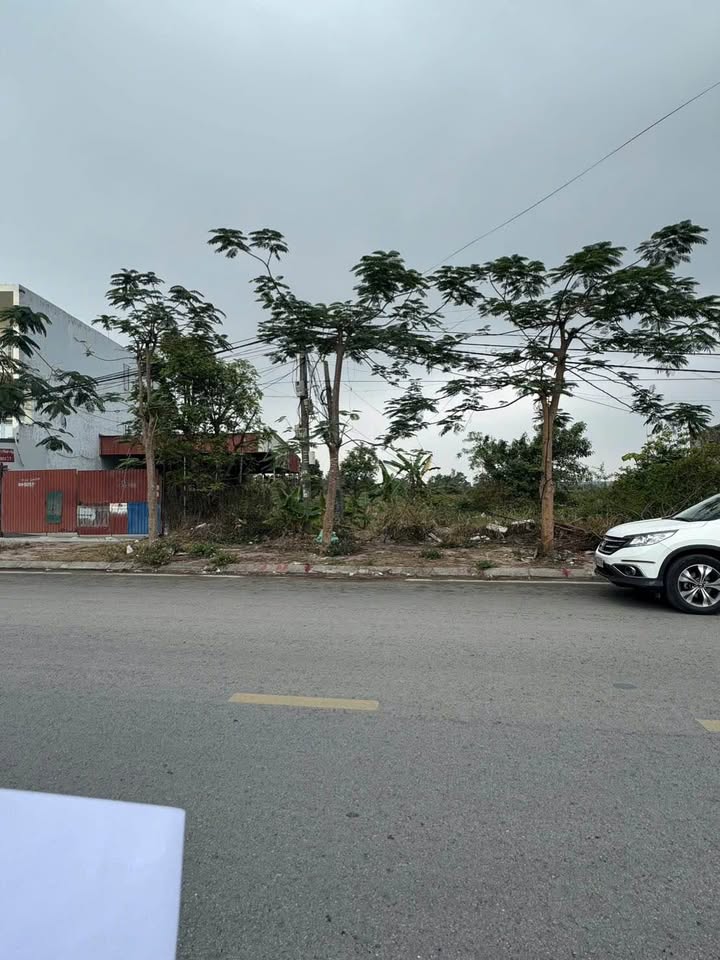 Đất nền 100m² mặt đường Ngô Gia Tự, Hải An, giá 5.2 tỷ - Cơ hội đầu tư tuyệt vời!