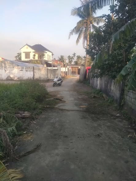 Lô đất đẹp tại Xã Đoàn Lập, Tiên Lãng 95m² giá 900 triệu - Đầu tư sinh lời ngay!