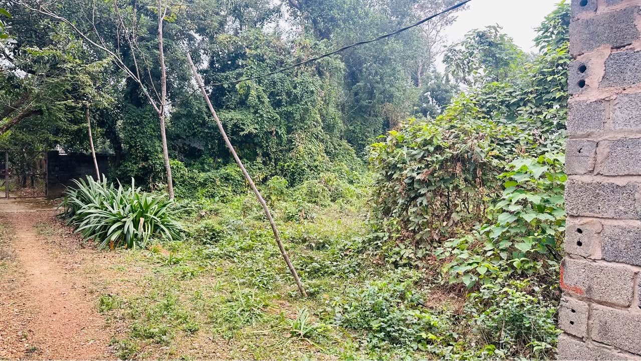 Đất thổ cư 1100m² tại thôn Phương Hạnh, Chương Mỹ - Giá thỏa thuận, vị trí đẹp!