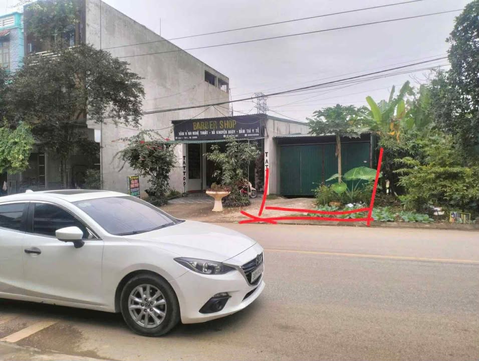 Bán lô đất 100m² tại vườn ươm Long Cương - Đầu tư sinh lời ngay!