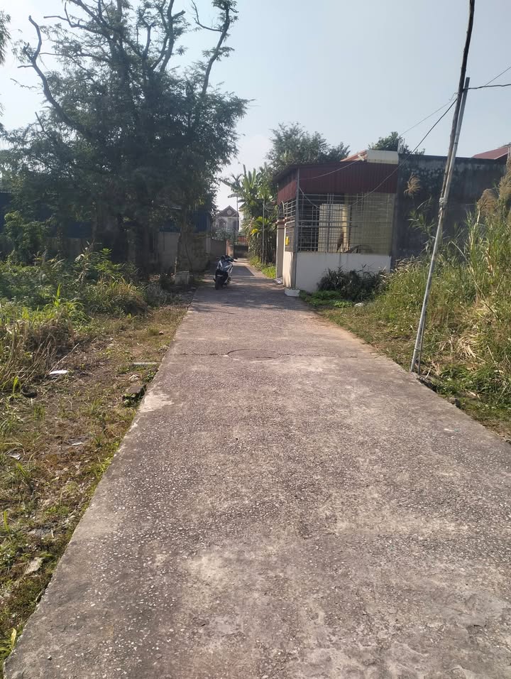 Đất nền thôn Thượng - An Hồng - 74m² giá 1.33 tỷ - Ô tô vào tận nơi!