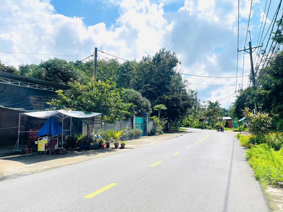 Đất nền 1123m² Đường Đỗ Đăng Tuyển, Củ Chi - Vị trí kinh doanh sầm uất!