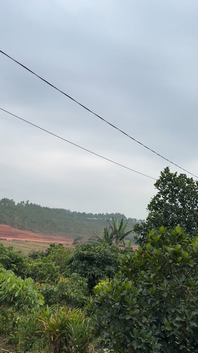 Đất thổ cư Tiên Lục, Lạng Giang 1000m² giá chỉ 1.9 tỷ - Cơ hội đầu tư tuyệt vời!