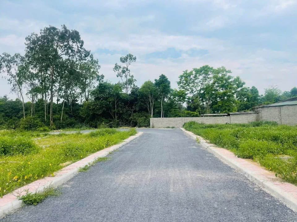 Đất Nền Thái Phúc, Nghi Trung 97m² giá 1 tỷ - Cơ hội đầu tư tuyệt vời!