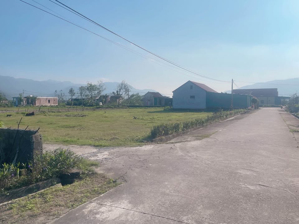 Đất thổ cư Thôn 5, Xuân Lĩnh, Nghi Xuân 375m² giá chỉ 700 triệu - Đầu tư sinh lời ngay!