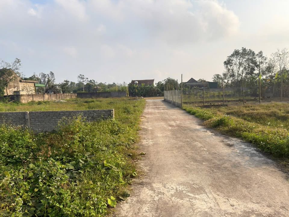 Đất nền xóm 1 Nghi Phong 135m² giá 1.x tỷ - Đầu tư sinh lời ngay!