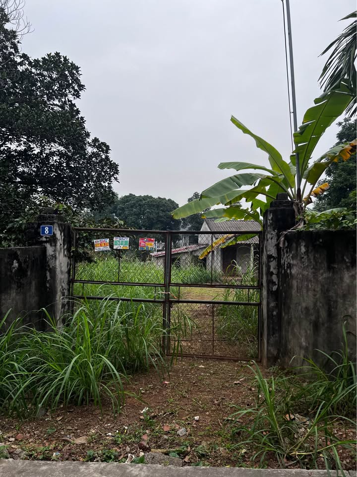 Đất Yên Thịnh, Xã Bất Bạt 1020m² - Giao thông thuận lợi, pháp lý rõ ràng!