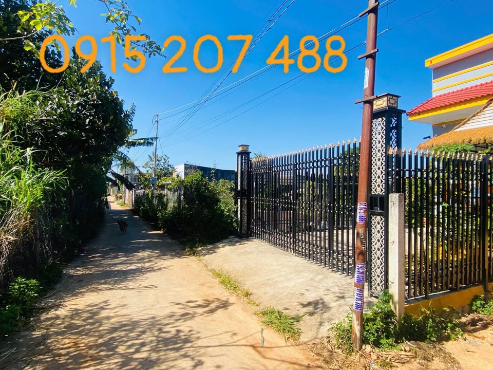 Đất nền Chè Uyển Nhi, Đức Trọng 100m² giá 999 triệu - Sổ sẵn, ô tô vào tận nơi!